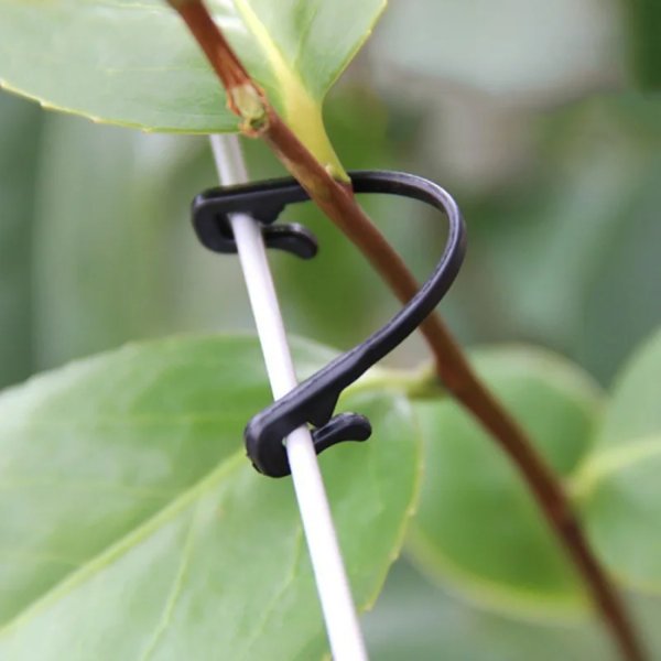 Крючки для подвязки растений, s-образные, 6см, 50шт