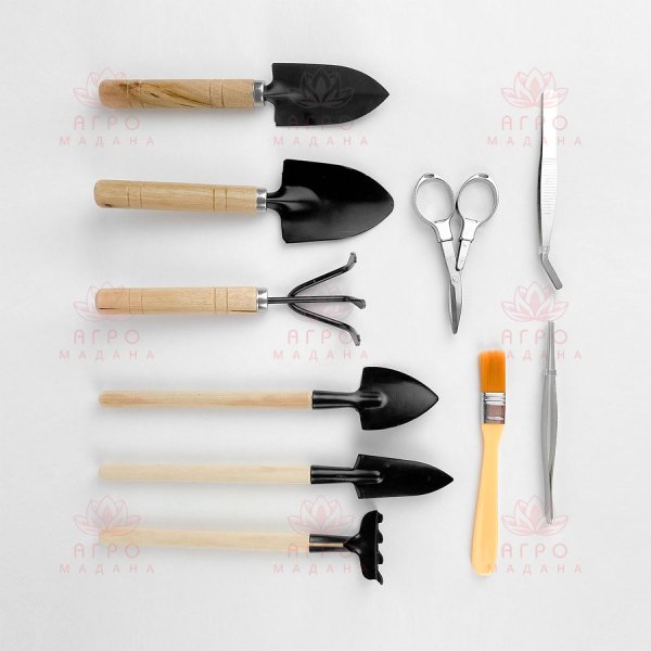 Набор с деревянными инструментами, кисточкой, пинцетами и ножницами