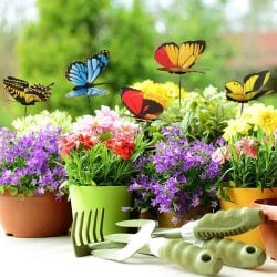 Украшение декоративно садовое &quot;Бабочка&quot; 10шт